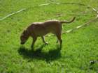 dsc02230_small.jpg