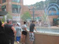IMG_0569 img_0569_small.jpg