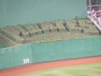 IMG_0596 img_0596_small.jpg
