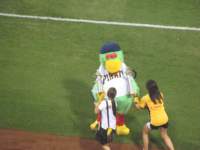 IMG_0602 img_0602_small.jpg