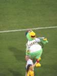 IMG_0603 img_0603_small.jpg