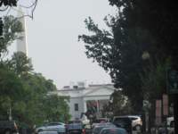 IMG_0735 img_0735_small.jpg