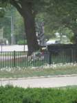 IMG_0751 img_0751_small.jpg