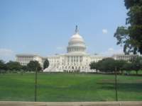 IMG_0771 img_0771_small.jpg