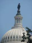 IMG_0773 img_0773_small.jpg
