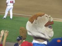 IMG_0819 img_0819_small.jpg