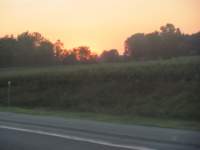 IMG_0837 img_0837_small.jpg