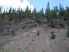 dsc02437_small.jpg