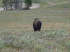 dsc02567_small.jpg